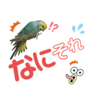 麦ちゃんと時々仲間たち♪2（個別スタンプ：16）