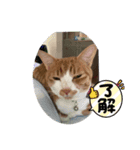 コタロー♡♡♡♡♡（個別スタンプ：2）