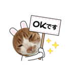 コタロー♡♡♡♡♡（個別スタンプ：8）
