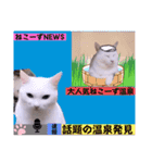 切り抜き＆合成面白ねこーずスタンプ（個別スタンプ：6）