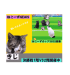 切り抜き＆合成面白ねこーずスタンプ（個別スタンプ：7）