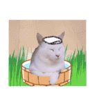 切り抜き＆合成面白ねこーずスタンプ（個別スタンプ：9）