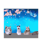 切り抜き＆合成面白ねこーずスタンプ（個別スタンプ：11）
