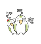 我が家のとりです。インコです。4（個別スタンプ：20）