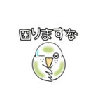 我が家のとりです。インコです。4（個別スタンプ：32）