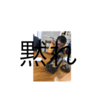 煽りたいときに使え！！！！！（個別スタンプ：2）