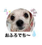 めりる20221225（個別スタンプ：7）