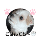 めりる20221225（個別スタンプ：8）