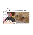 こむぎちゃんฅ•ﻌ•´ฅ2（個別スタンプ：16）