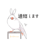 毎日文鳥・卯年（個別スタンプ：26）