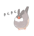 毎日文鳥・卯年（個別スタンプ：28）