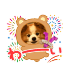 ぱぴぱぴパピヨン105（個別スタンプ：4）