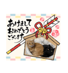 ちゃんまつHappy New Year♡（個別スタンプ：1）