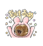 ちゃんまつHappy New Year♡（個別スタンプ：4）