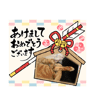 ちゃんまつHappy New Year♡（個別スタンプ：12）