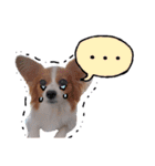 papiko_.2023（個別スタンプ：3）