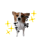 papiko_.2023（個別スタンプ：6）