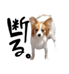 papiko_.2023（個別スタンプ：13）