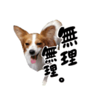papiko_.2023（個別スタンプ：14）
