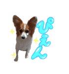 papiko_.2023（個別スタンプ：15）