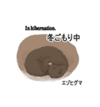 ラビットセンス 冬（個別スタンプ：26）