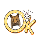 北山てんてん（個別スタンプ：1）