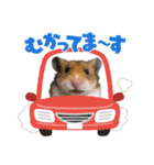 北山てんてん（個別スタンプ：11）