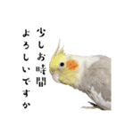 うちのカワイイちびっこたちPart17（個別スタンプ：5）