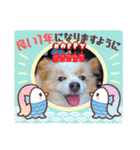 犬dog'sパピヨン（個別スタンプ：2）