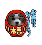 犬dog'sパピヨン（個別スタンプ：5）