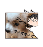 犬dog'sパピヨン（個別スタンプ：15）