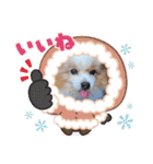 犬dog'sパピヨン（個別スタンプ：20）