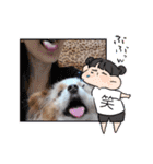 犬dog'sパピヨン（個別スタンプ：33）