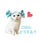 マンチカンのわさびと愉快な仲間たち（個別スタンプ：3）