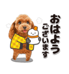 【修正版】かわいい犬たち♡敬語冬プードル（個別スタンプ：1）