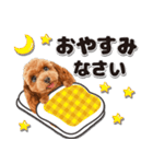 【修正版】かわいい犬たち♡敬語冬プードル（個別スタンプ：2）