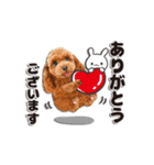 【修正版】かわいい犬たち♡敬語冬プードル（個別スタンプ：4）