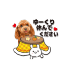 【修正版】かわいい犬たち♡敬語冬プードル（個別スタンプ：8）