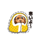 【修正版】かわいい犬たち♡敬語冬プードル（個別スタンプ：15）
