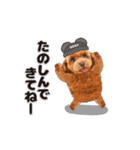 【修正版】かわいい犬たち♡敬語冬プードル（個別スタンプ：31）