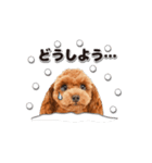 【修正版】かわいい犬たち♡敬語冬プードル（個別スタンプ：32）