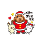 【修正版】かわいい犬たち♡敬語冬プードル（個別スタンプ：35）