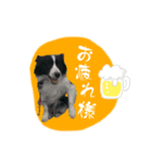 ラチラピスタンプ（個別スタンプ：2）