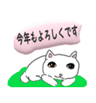 うさちゃんと猫ちゃんのお年賀（個別スタンプ：9）