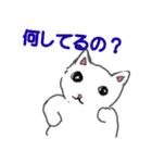 うさちゃんと猫ちゃんのお年賀（個別スタンプ：15）