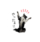 ルルちゃんキキくん（個別スタンプ：3）