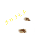 Hi,I'm Mochi.（個別スタンプ：9）