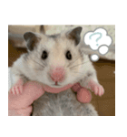 ふくはるbabies（個別スタンプ：1）