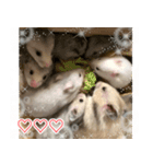 ふくはるbabies（個別スタンプ：2）