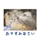 ふくはるbabies（個別スタンプ：4）